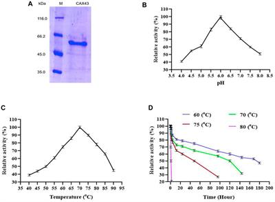 Biochemical and Molecular Dynamics Study of a Novel GH 43 α-l-Arabinofuranosidase/β-Xylosidase From Caldicellulosiruptor saccharolyticus DSM8903